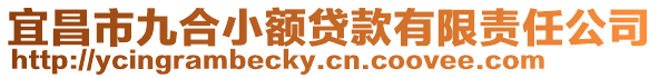 宜昌市九合小額貸款有限責(zé)任公司