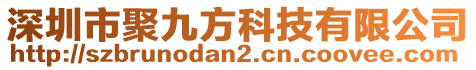 深圳市聚九方科技有限公司