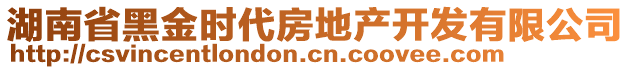 湖南省黑金時代房地產(chǎn)開發(fā)有限公司