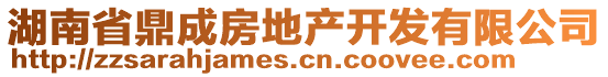 湖南省鼎成房地產(chǎn)開發(fā)有限公司