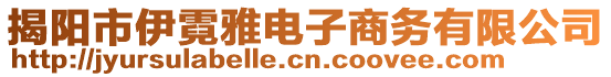 揭陽(yáng)市伊霓雅電子商務(wù)有限公司