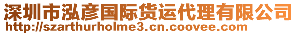 深圳市泓彥國際貨運(yùn)代理有限公司