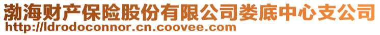 渤海財產保險股份有限公司婁底中心支公司