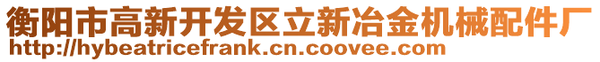 衡陽(yáng)市高新開(kāi)發(fā)區(qū)立新冶金機(jī)械配件廠