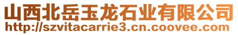 山西北岳玉龍石業(yè)有限公司