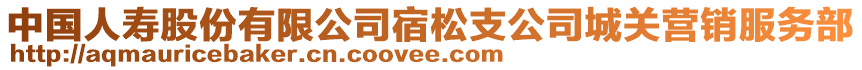 中國(guó)人壽股份有限公司宿松支公司城關(guān)營(yíng)銷(xiāo)服務(wù)部