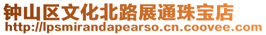 鐘山區文化北路展通珠寶店