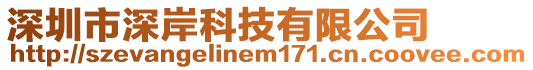 深圳市深岸科技有限公司