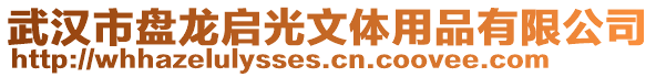 武漢市盤龍啟光文體用品有限公司