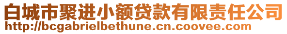 白城市聚進(jìn)小額貸款有限責(zé)任公司