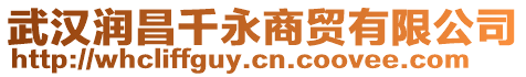 武漢潤昌千永商貿(mào)有限公司
