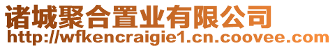 諸城聚合置業(yè)有限公司