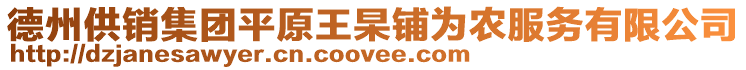 德州供銷集團平原王杲鋪為農服務有限公司