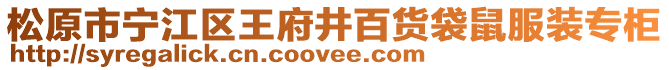 松原市寧江區王府井百貨袋鼠服裝專柜
