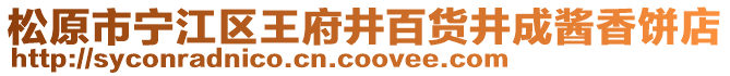 松原市寧江區(qū)王府井百貨井成醬香餅店