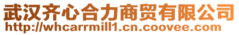 武漢齊心合力商貿(mào)有限公司