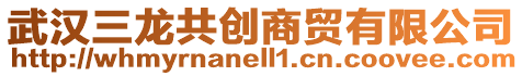 武漢三龍共創商貿有限公司