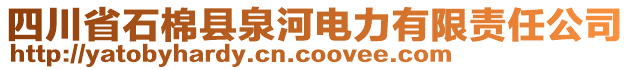 四川省石棉縣泉河電力有限責(zé)任公司