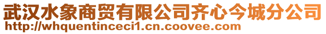 武漢水象商貿有限公司齊心今城分公司