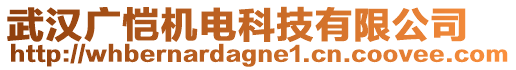 武漢廣愷機電科技有限公司