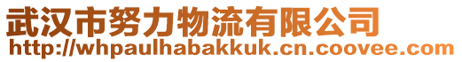 武漢市努力物流有限公司