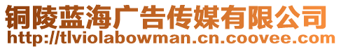 銅陵藍海廣告傳媒有限公司