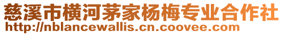 慈溪市橫河茅家楊梅專業(yè)合作社