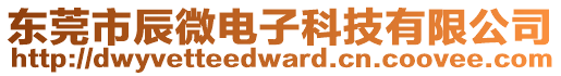 東莞市辰微電子科技有限公司