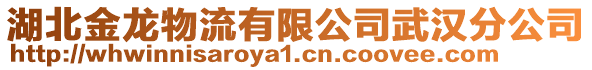 湖北金龍物流有限公司武漢分公司