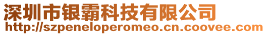 深圳市銀霸科技有限公司