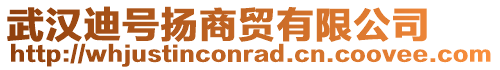 武漢迪號揚商貿有限公司