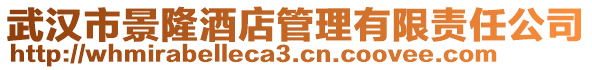 武漢市景隆酒店管理有限責(zé)任公司