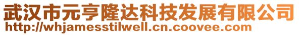 武漢市元亨隆達科技發(fā)展有限公司