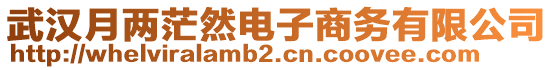 武漢月兩茫然電子商務(wù)有限公司