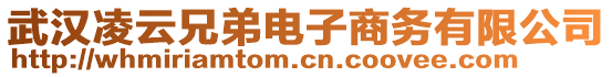 武漢凌云兄弟電子商務(wù)有限公司