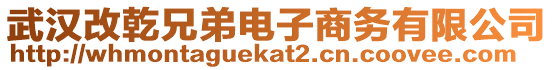 武漢改乾兄弟電子商務(wù)有限公司