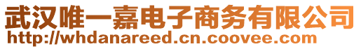 武漢唯一嘉電子商務(wù)有限公司