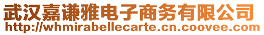 武漢嘉謙雅電子商務(wù)有限公司