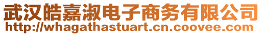 武漢皓嘉淑電子商務有限公司