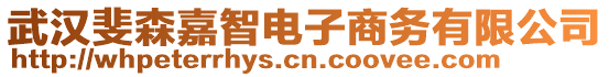 武漢斐森嘉智電子商務(wù)有限公司