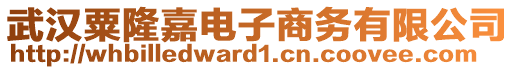 武漢粟隆嘉電子商務(wù)有限公司