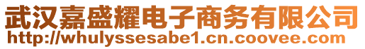 武漢嘉盛耀電子商務(wù)有限公司