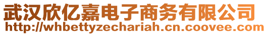 武漢欣億嘉電子商務(wù)有限公司