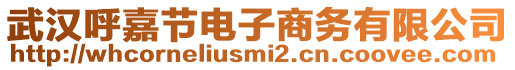 武漢呼嘉節(jié)電子商務有限公司