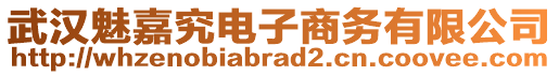 武漢魅嘉究電子商務有限公司