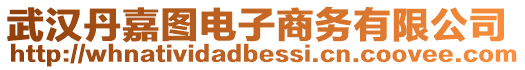 武漢丹嘉圖電子商務有限公司