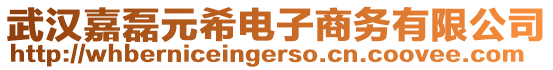 武漢嘉磊元希電子商務(wù)有限公司