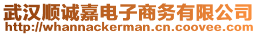 武漢順誠嘉電子商務(wù)有限公司