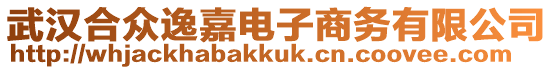 武漢合眾逸嘉電子商務(wù)有限公司