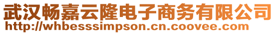 武漢暢嘉云隆電子商務(wù)有限公司